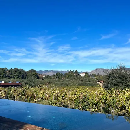 Tenuta Di Fessina Rezort