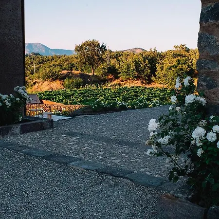 Tenuta Di Fessina 3*