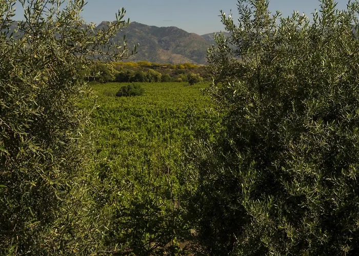 Resort Tenuta Di Fessina 3*